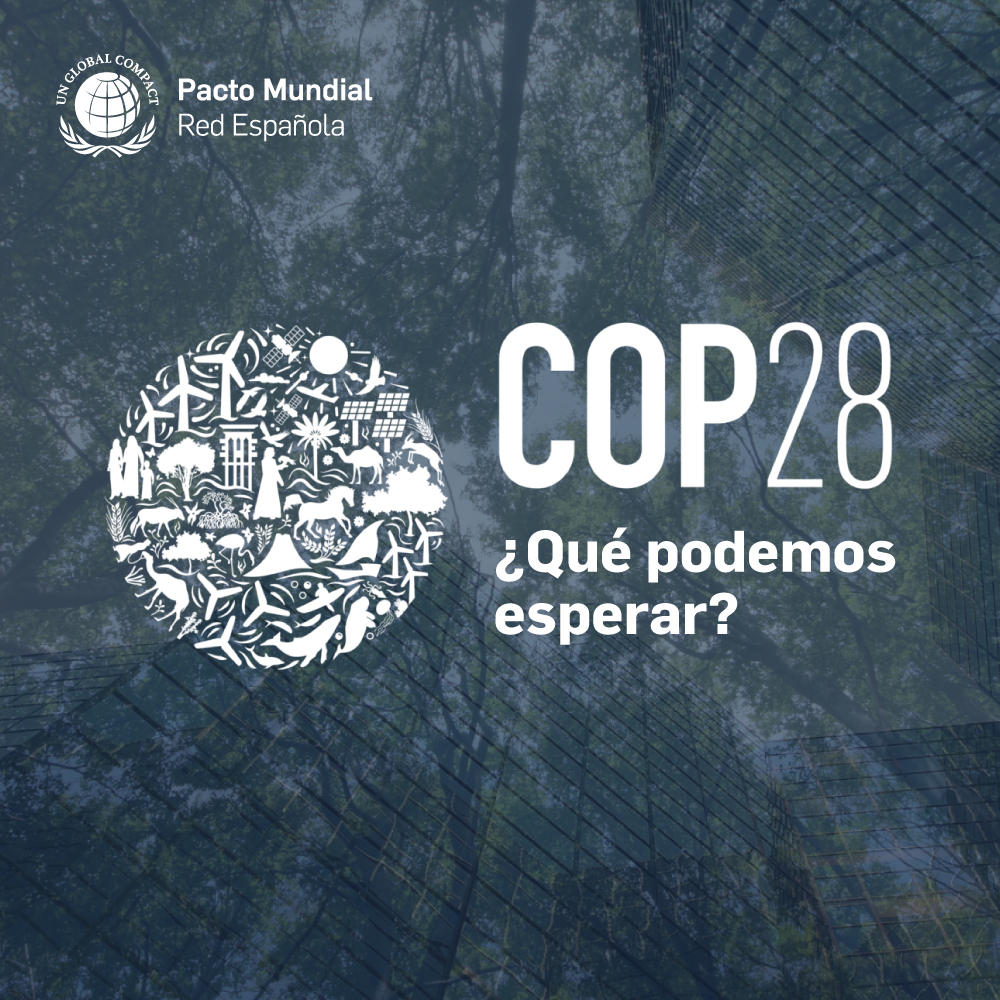 COP28: La Cumbre Del Clima 2023 Reúne Grandes Expectativas · Pacto Mundial