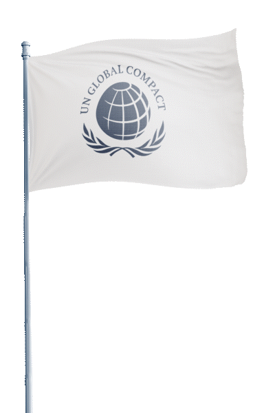 Bandera Pacto Mundial ONU - Primeros años de la RSE (responsabilidad social empresarial o corporativa) 2004, 2005, 2006, 2007, 2008 . Historia de la sostenibilidad empresarial, RSE y RSC en España - Pacto Mundial de la ONU España