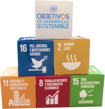 Cubos ODS Objetivos de Desarrollo Sostenible Agenda 2030 - Historia de la sostenibilidad empresarial y RSE o RSC (responsabilidad social corporativa o empresarial) en España - El salto de la RSE a la sostenibilidad empresarial 2015, 2016, 2017, 2018, 2019, 2020