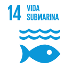 ODS 14 Vida submarina - Historia de la sostenibilidad empresarial y RSE o RSC (responsabilidad social corporativa o empresarial) en España - El salto de la RSE a la sostenibilidad empresarial 2015, 2016, 2017, 2018, 2019, 2020