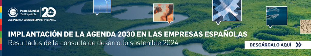 Implantación de la Agenda 2030 en las empresas españolas. Resultados de la consulta de desarrollo sostenible 2024.