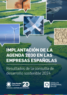 Implantación de la Agenda 2030 en las empresas españolas. Resultados de la consulta de desarrollo sostenible 2024