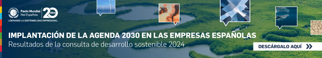 Implantación de la Agenda 2030 en las empresas españolas. Resultados de la consulta de desarrollo sostenible 2024