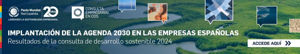 ODS de la Agenda 2030 más trabajados por las pymes españolas