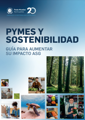 ASG pymes sostenibilidad guía