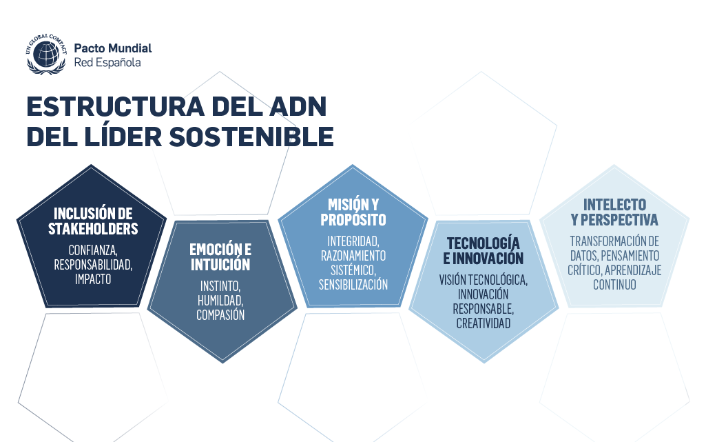 Estructura del ADN del líder sostenible