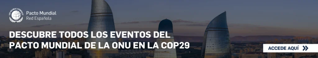 COP29