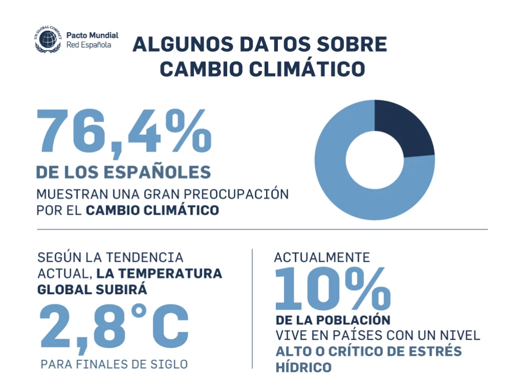 COP29