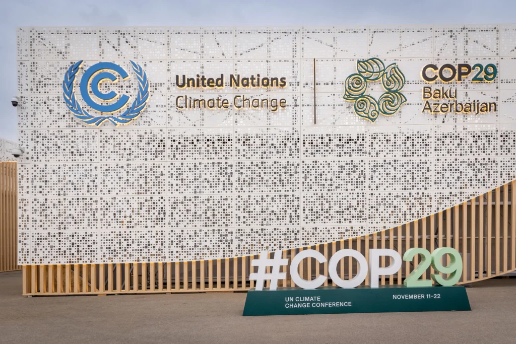 COP29